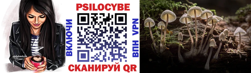 Галлюциногенные грибы мицелий  это официальный сайт  Новозыбков 